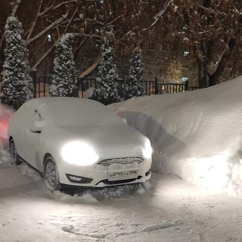 Photo #10258209