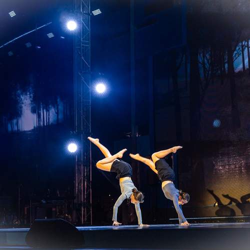 Photo #10258541