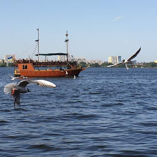 Photo #10258773