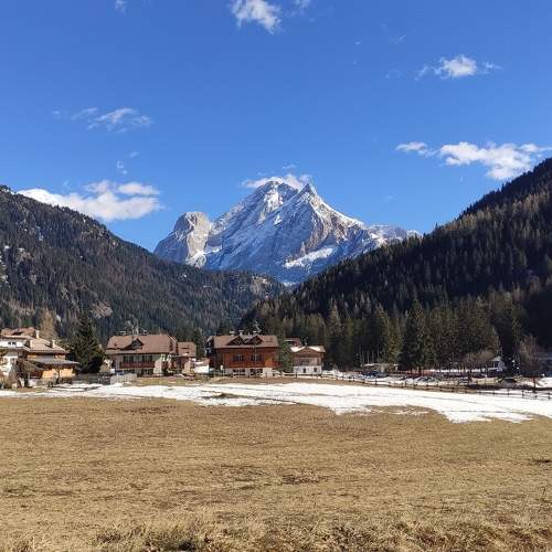 Photo #10259012