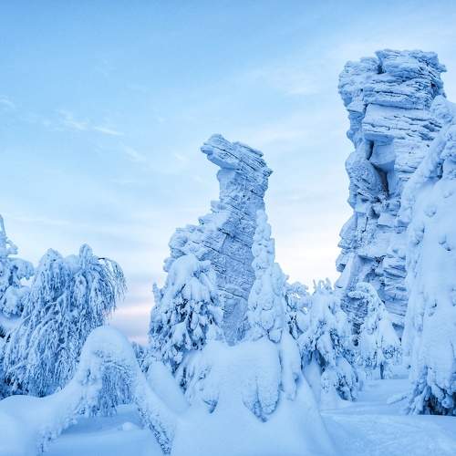 Photo #10259309