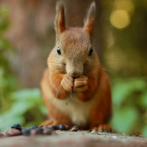 Photo #10259387