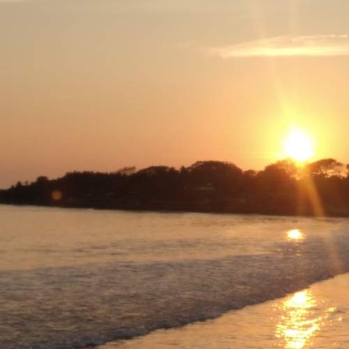 Photo #10259427
