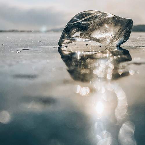 Photo #10259610