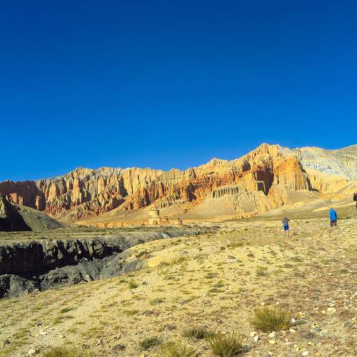 Photo #10259712