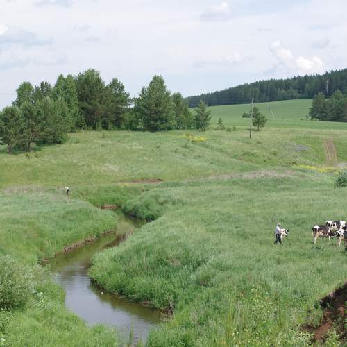 Photo #10259792