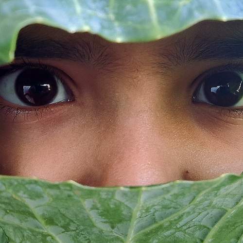 Photo #10260311