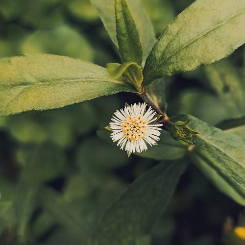 Photo #10260424