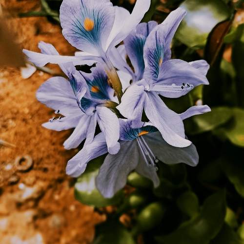 Photo #10260425