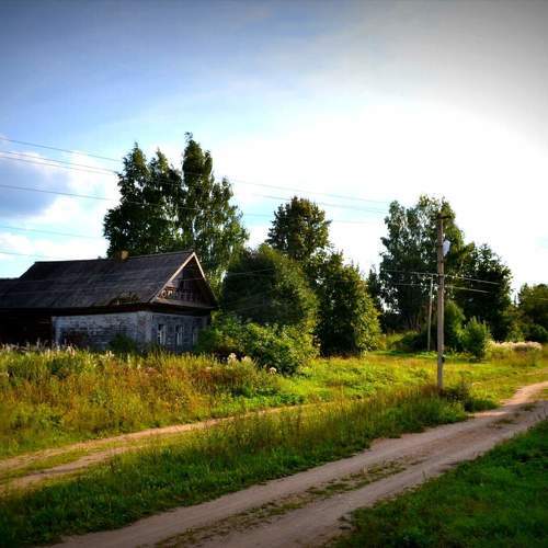 Photo #10260541
