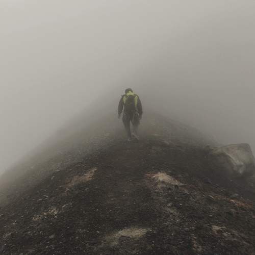 Photo #10260879