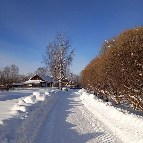 Photo #10260889