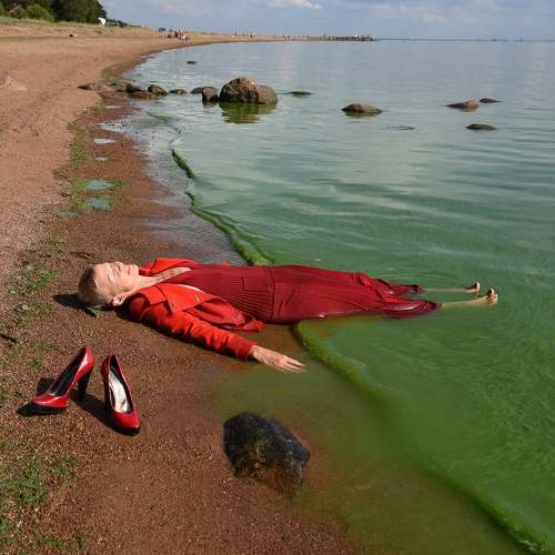 Photo #10261146
