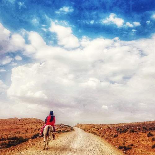 Photo #10261256