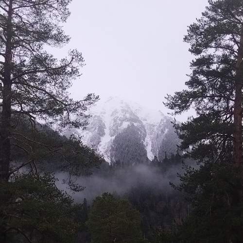 Photo #10261330