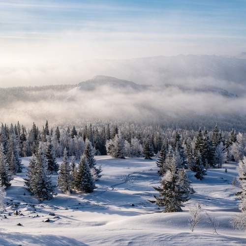 Photo #10261465