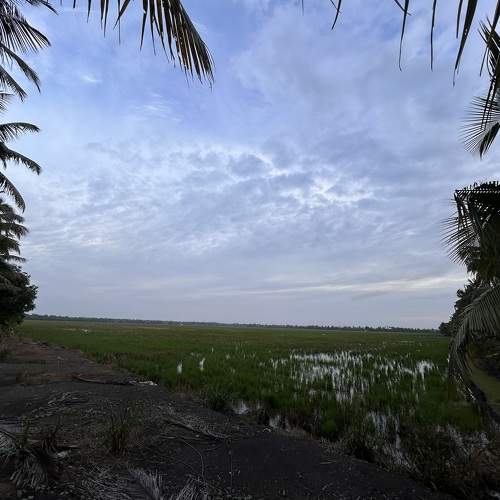 Photo #10262132