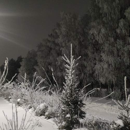 Photo #10262326