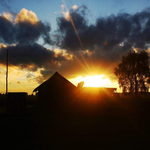 Photo #10262399