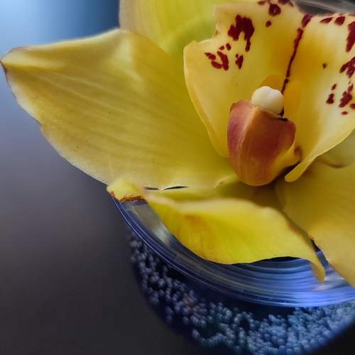 Photo #10262485