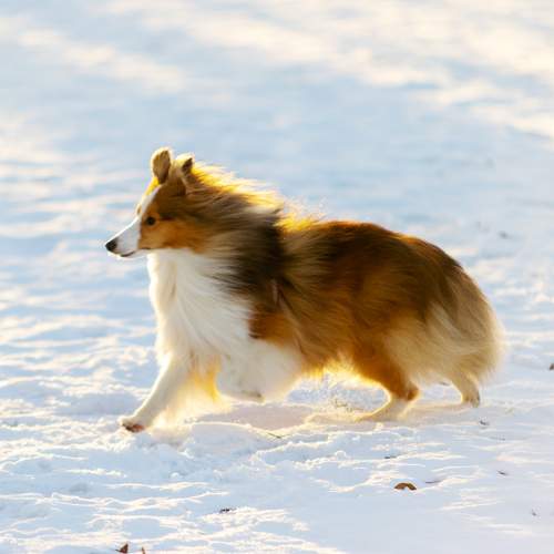 Photo #10262805