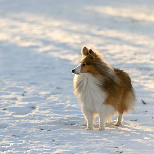 Photo #10262820