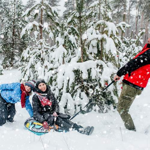 Photo #10262858