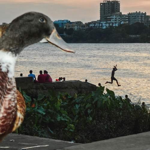Photo #10263100
