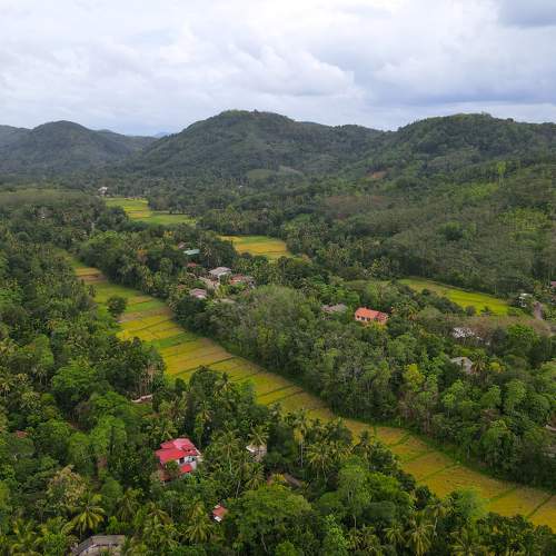 Photo #10263504