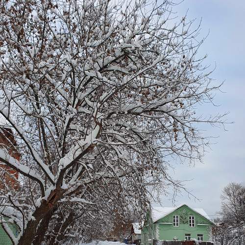 Photo #10263627