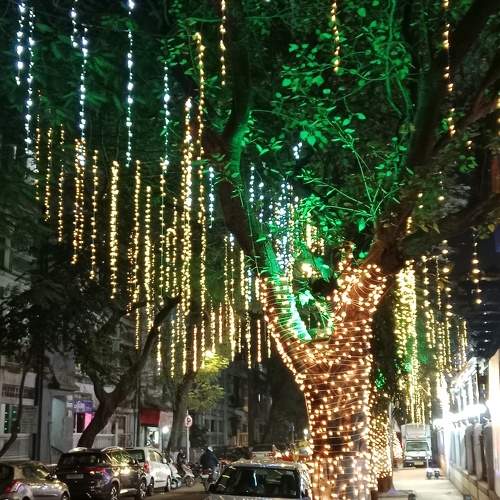 Photo #10263695