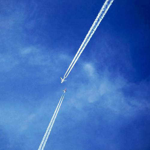Photo #10263747