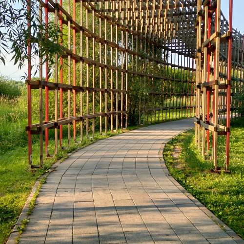 Photo #10263951