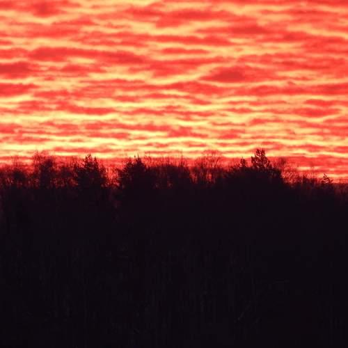 Photo #10264273