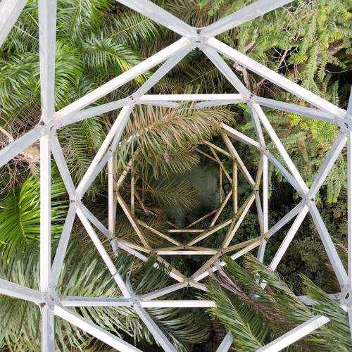 Photo #10265229