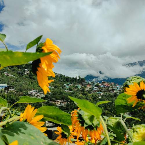 A beautiful village