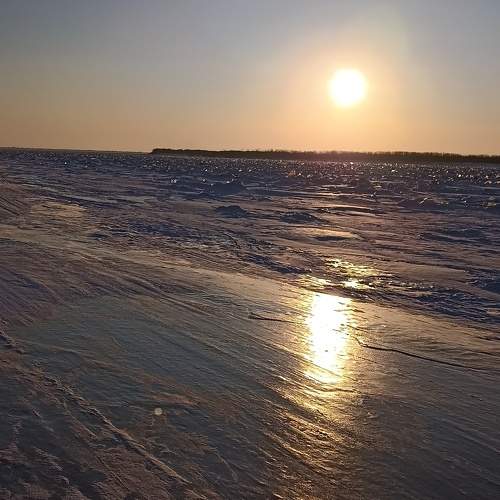 Photo #10265660