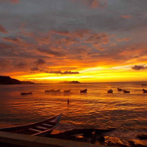 Photo #10266135