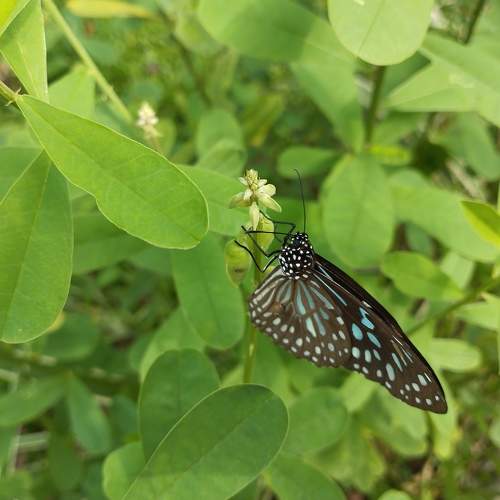 Photo #10266224
