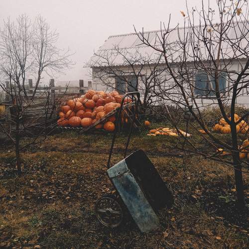 Photo #10266398
