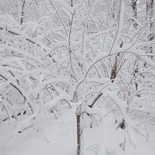 Photo #10266680