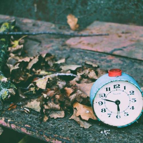 Photo #10266716