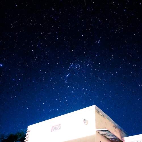Photo #10266908