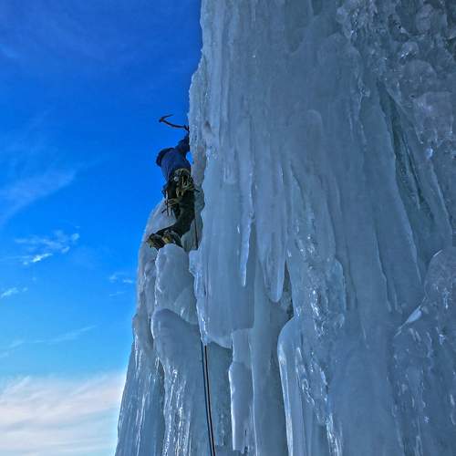 Photo #10267070