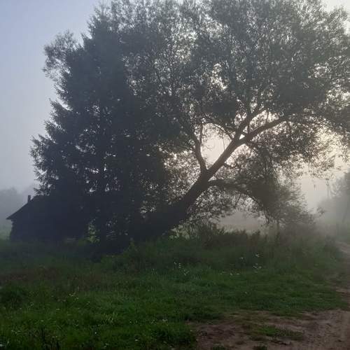 Photo #10267104