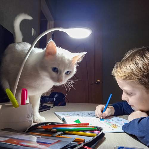 Photo #10267495