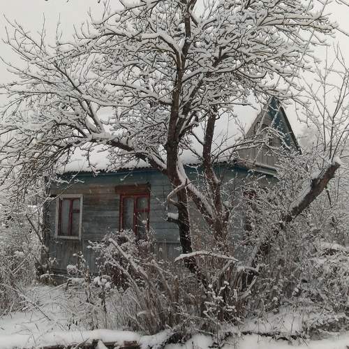 Photo #10267593