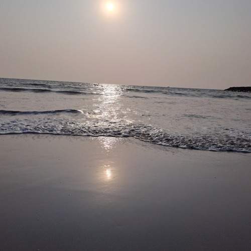 Photo #10267717