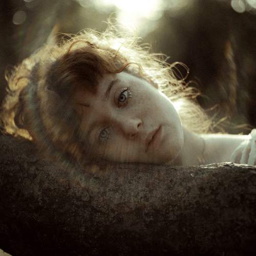 Photo #10267794