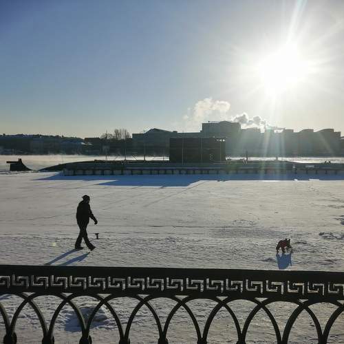 Photo #10267879